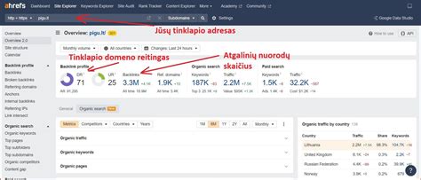 seo įrankis